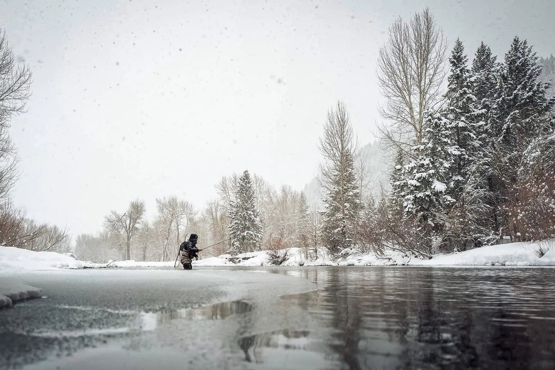 Cold Water Conquests: Navigating the Challenges of Winter Fly Fishing