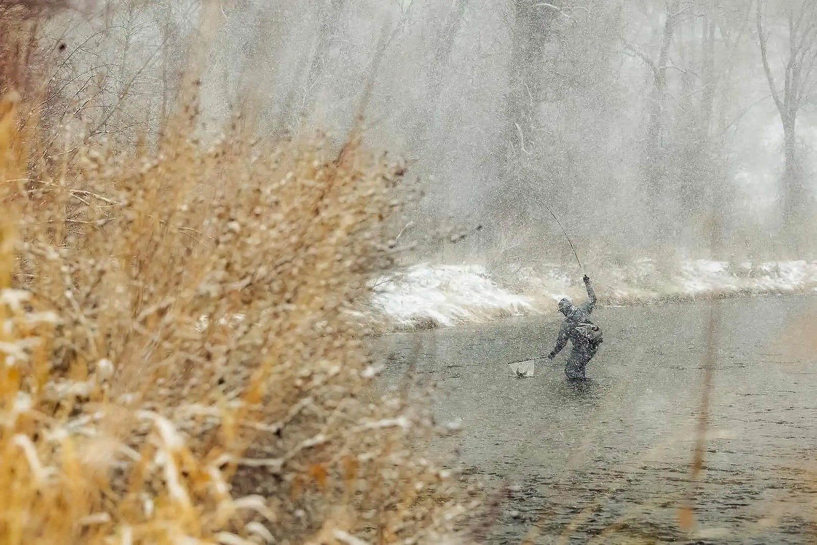 Winter Trout Tactics: Flies, Rigs, and Strategies for Cold Water