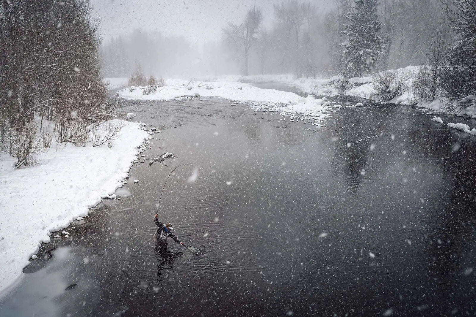 Winter Trout Tactics: Flies, Rigs, and Strategies for Cold Water ...