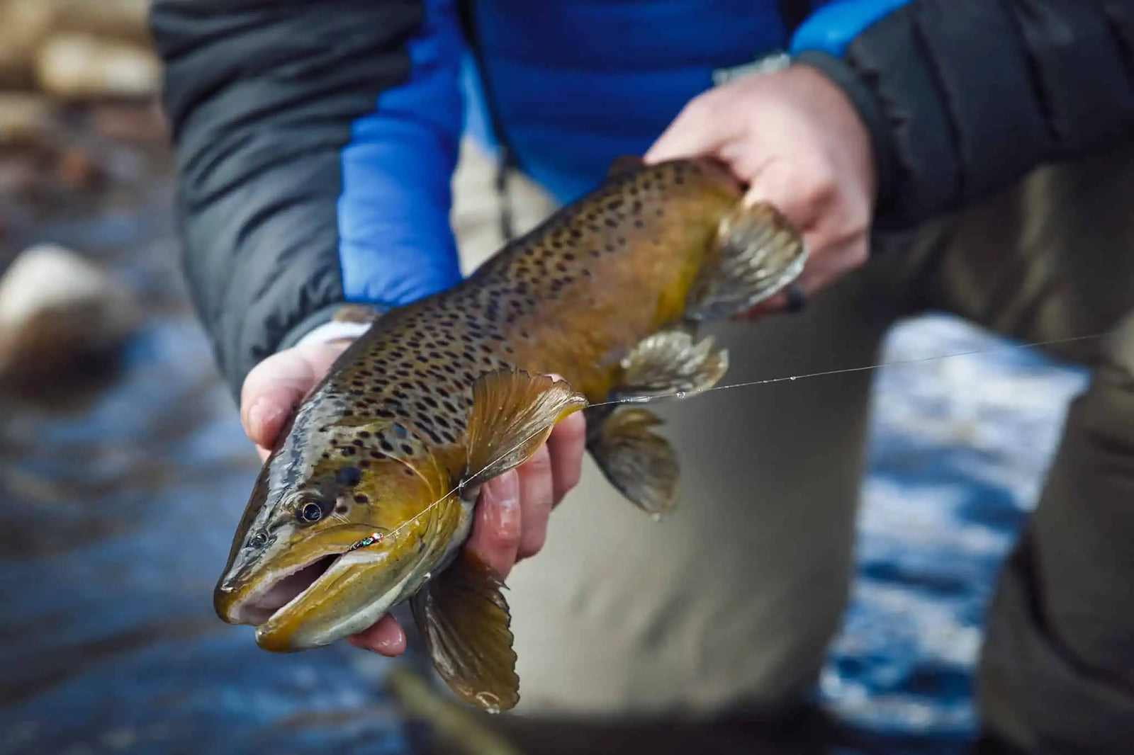 Fly of the Month: Winter Confidence Flies