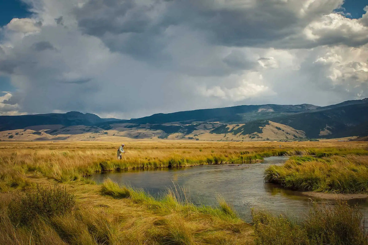 Tight to the Bank: How to Fish a Single Hopper Rig
