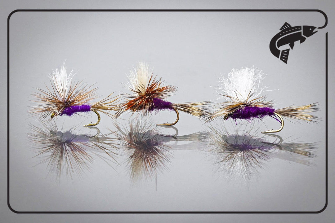The Allure of the Purple Haze Dry-Fly Family