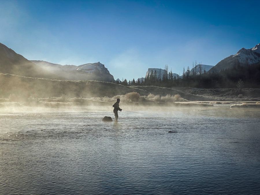 8 Spring Fly Fishing Tips for Landing Your Dream Trout