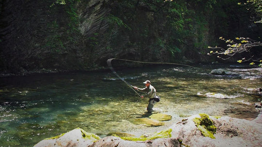 Casting into Summer: An Early Season Fly Selection Guide