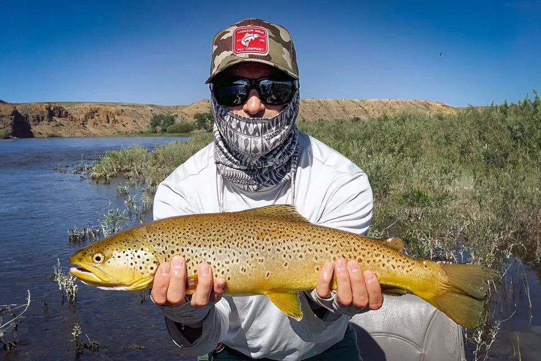 Beat the Heat: Essential Tips for Successful Summer Fly Fishing