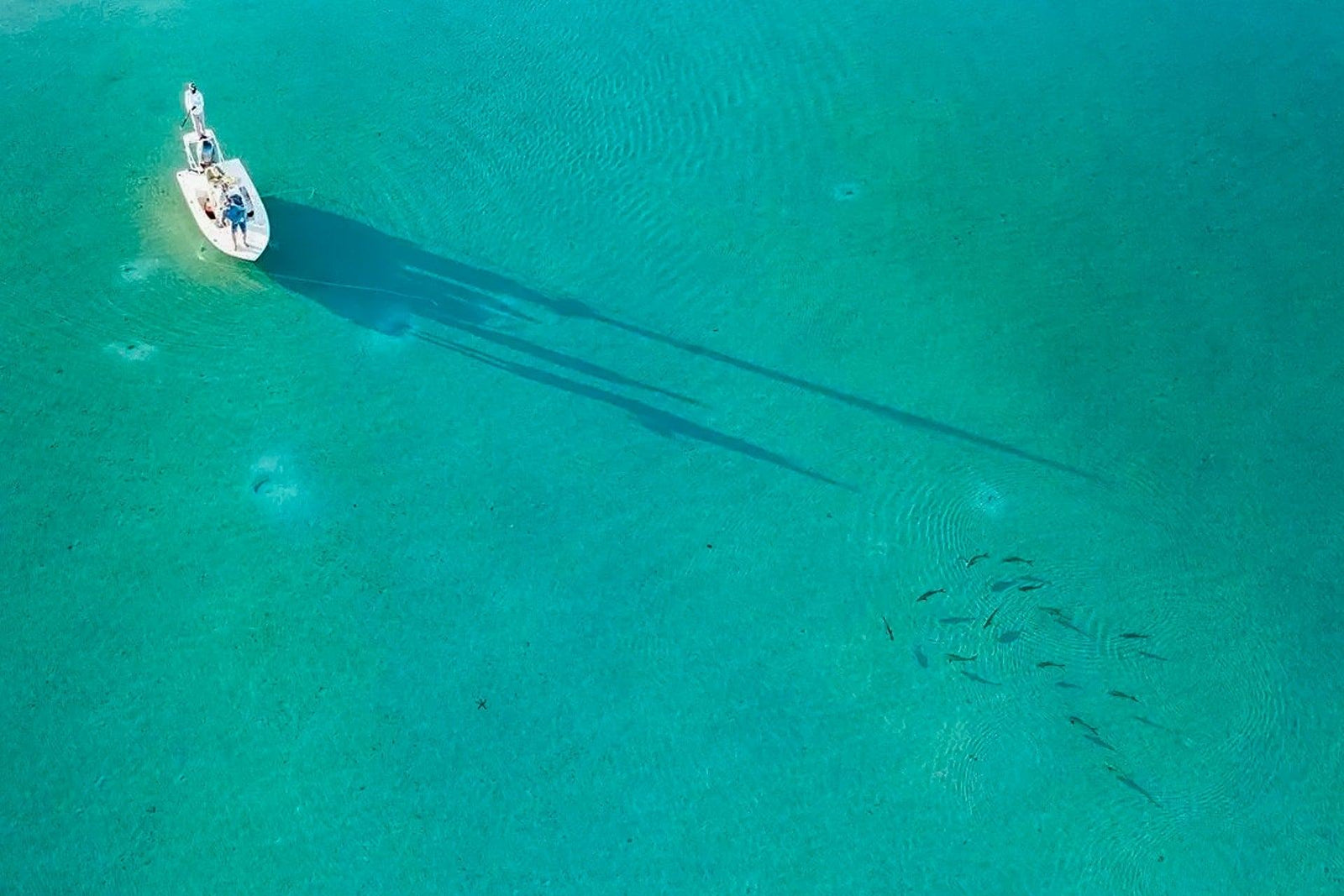 Casting into the Blue: A Guide to Saltwater Fly Selection | Jackson Hole Fly Company
