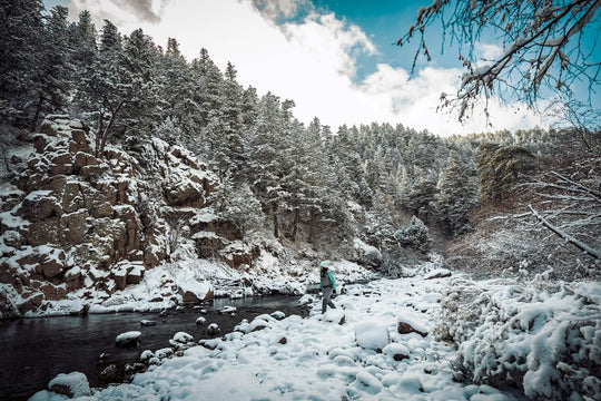 Conquistas en aguas frías: afrontar los desafíos de la pesca con mosca en invierno