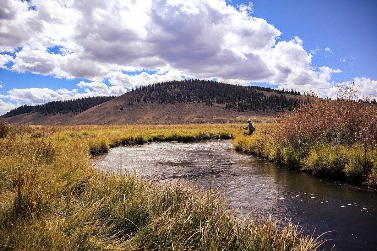 Fly of the Month - The Irresistible Chubby Chernobyl | Jackson Hole Fly Company