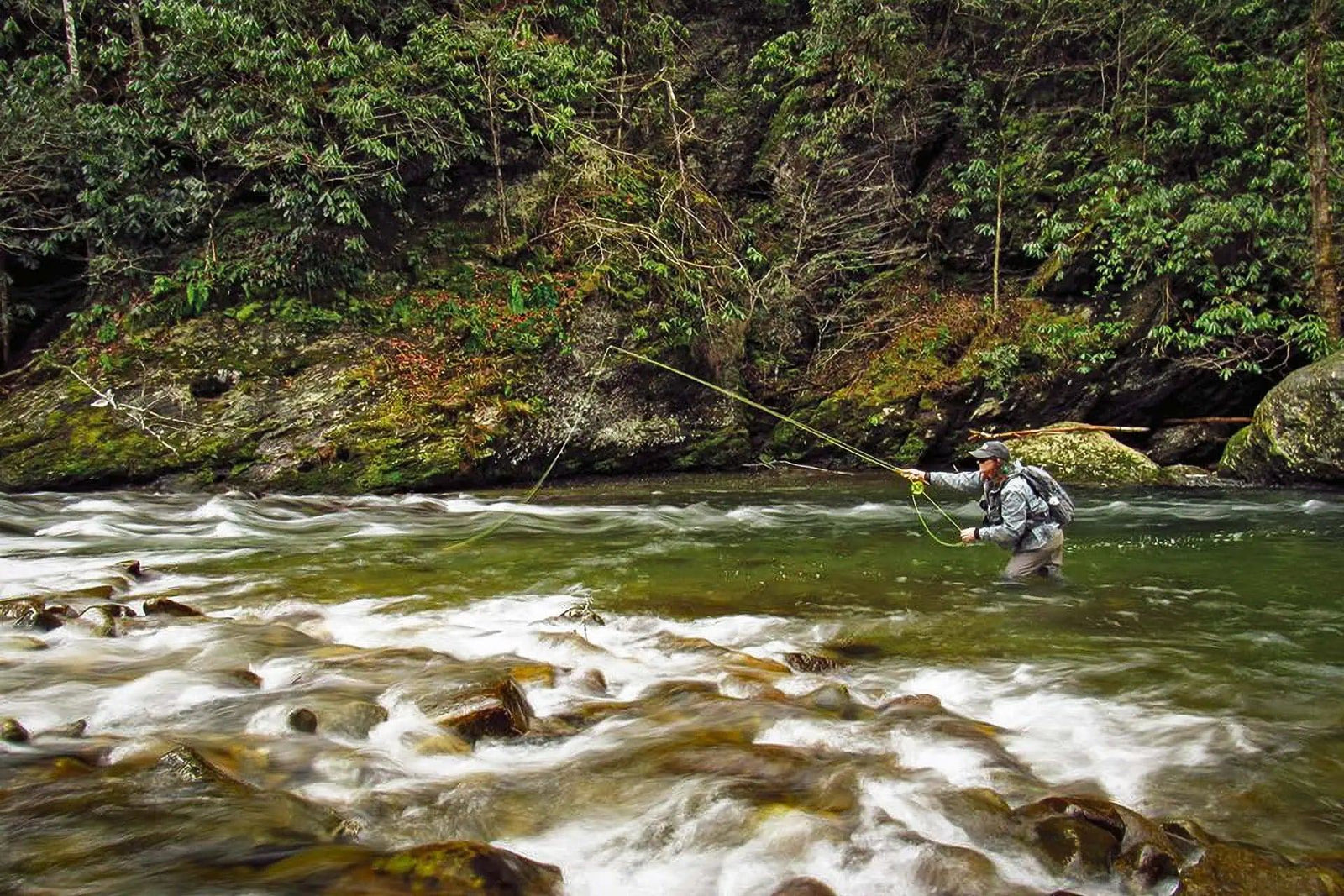 Spring Fly Guide: Discover the Most Effective Patterns & Techniques | Jackson Hole Fly Company