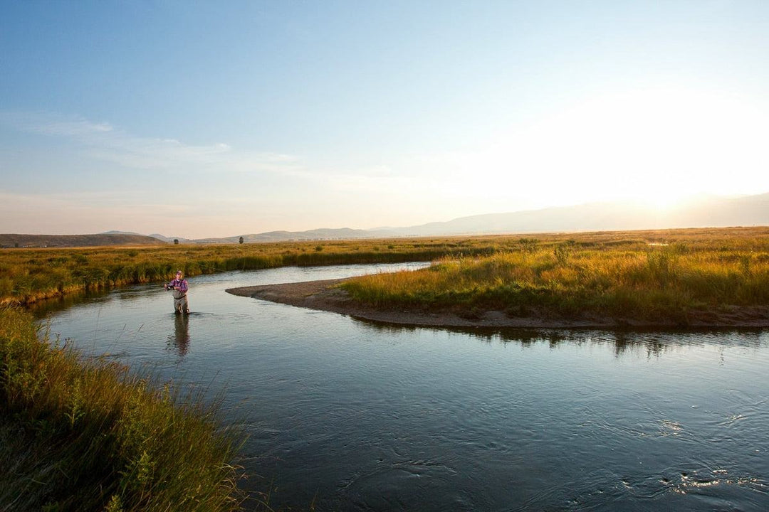 El arte de la pesca con mosca con ninfa