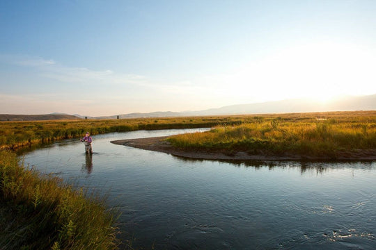 El arte de la pesca con mosca con ninfa