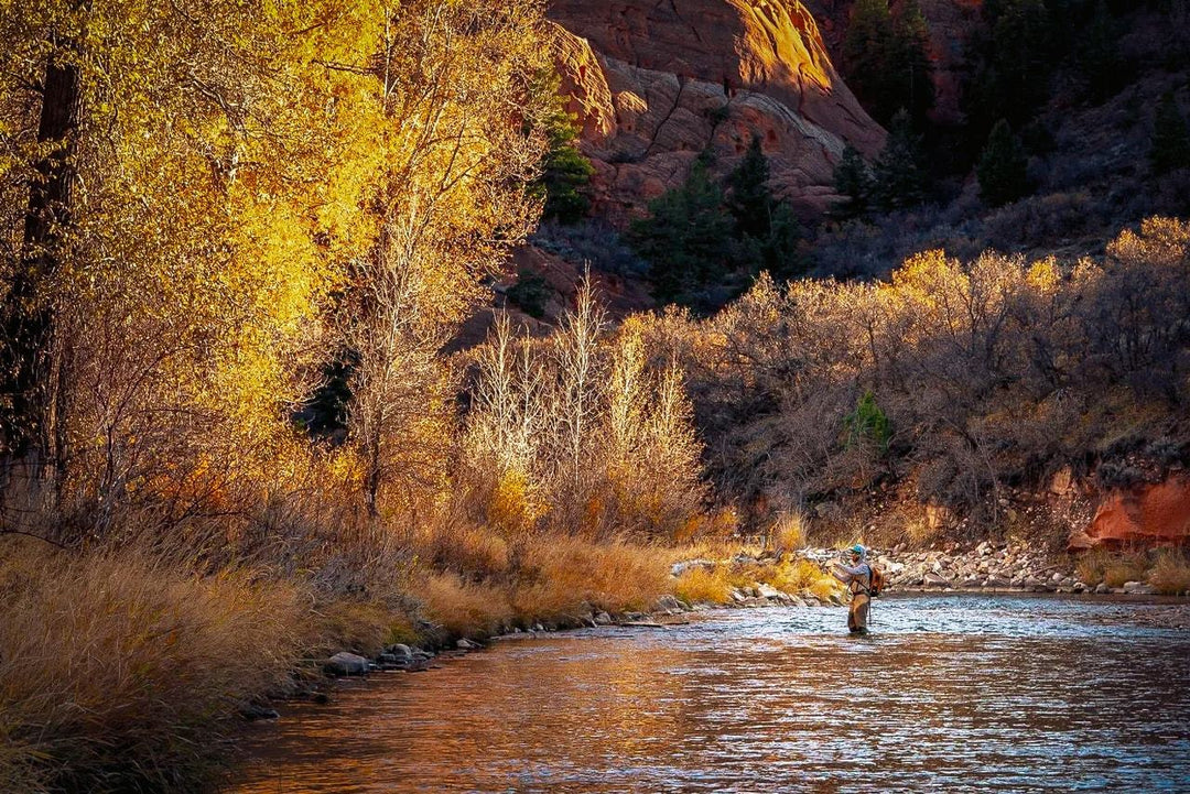 Tácticas de transición: una guía para la pesca con mosca en otoño y cinco moscas para hacer que su pesca con caña en otoño sea inolvidable