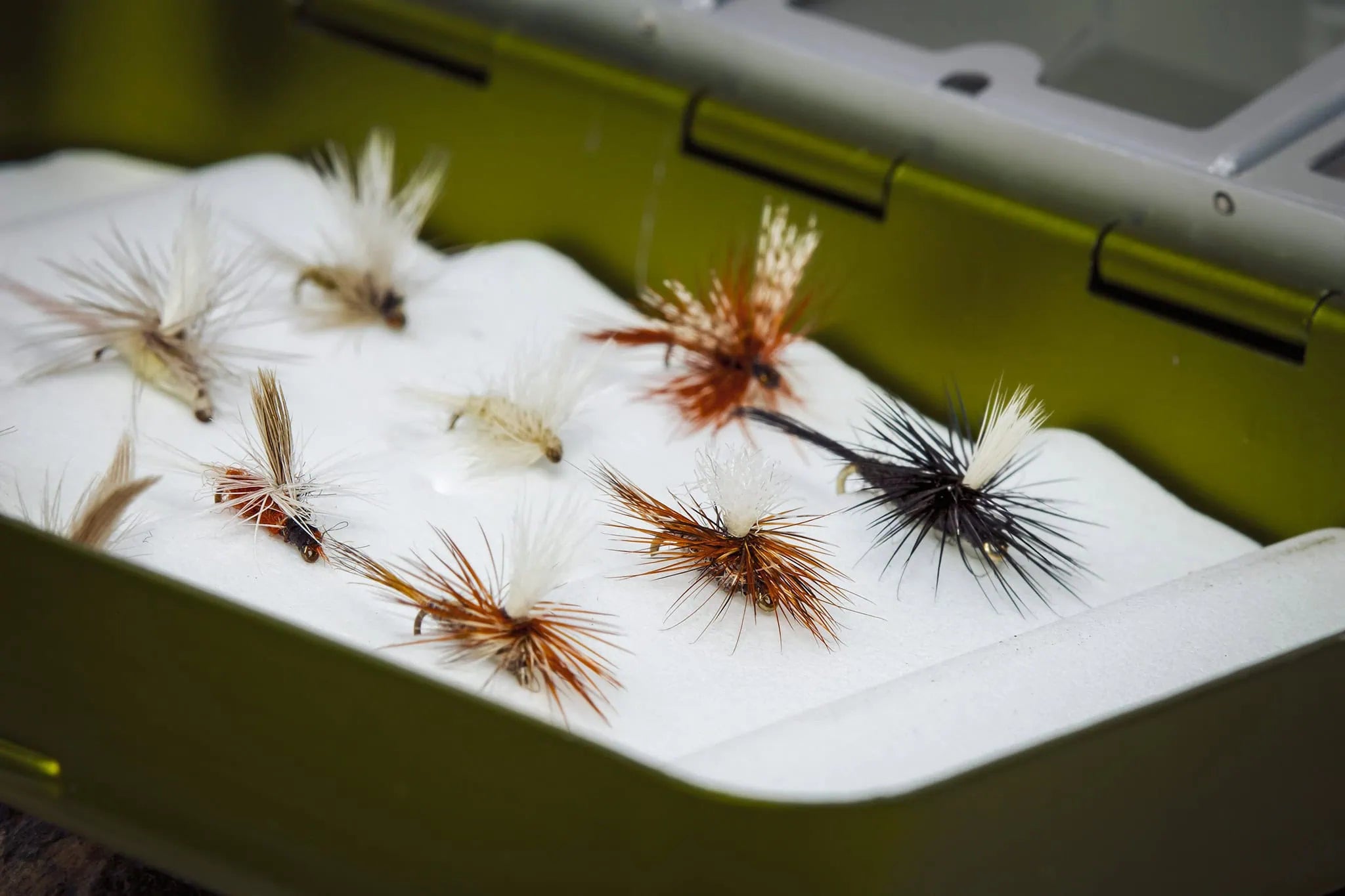 Organized fly box with rows of dry flies, nymphs, and streamers sorted by pattern | Jackson Hole Fly Company