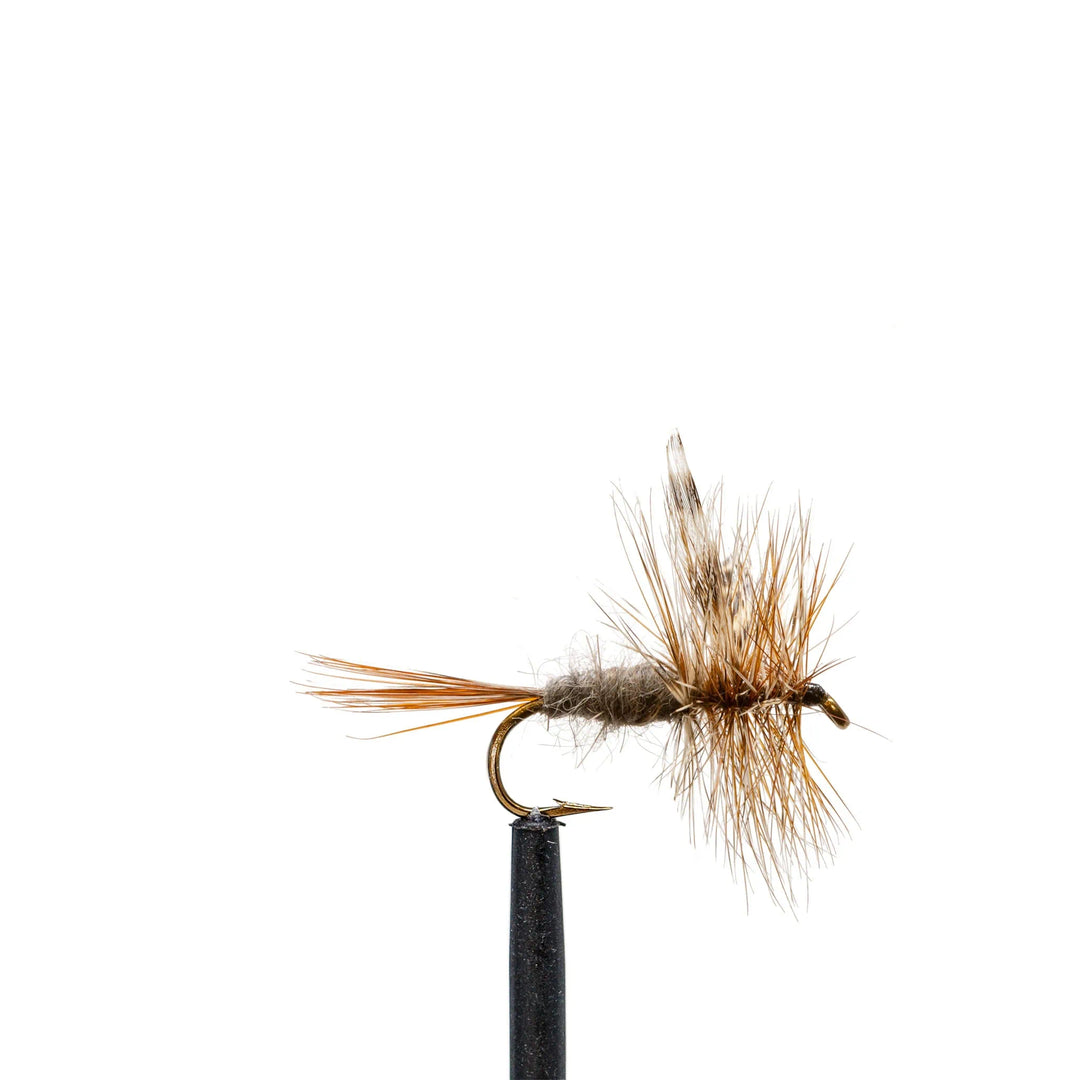 Adams - Basics, Dry Flies, 001 | Jackson Hole Fly Company