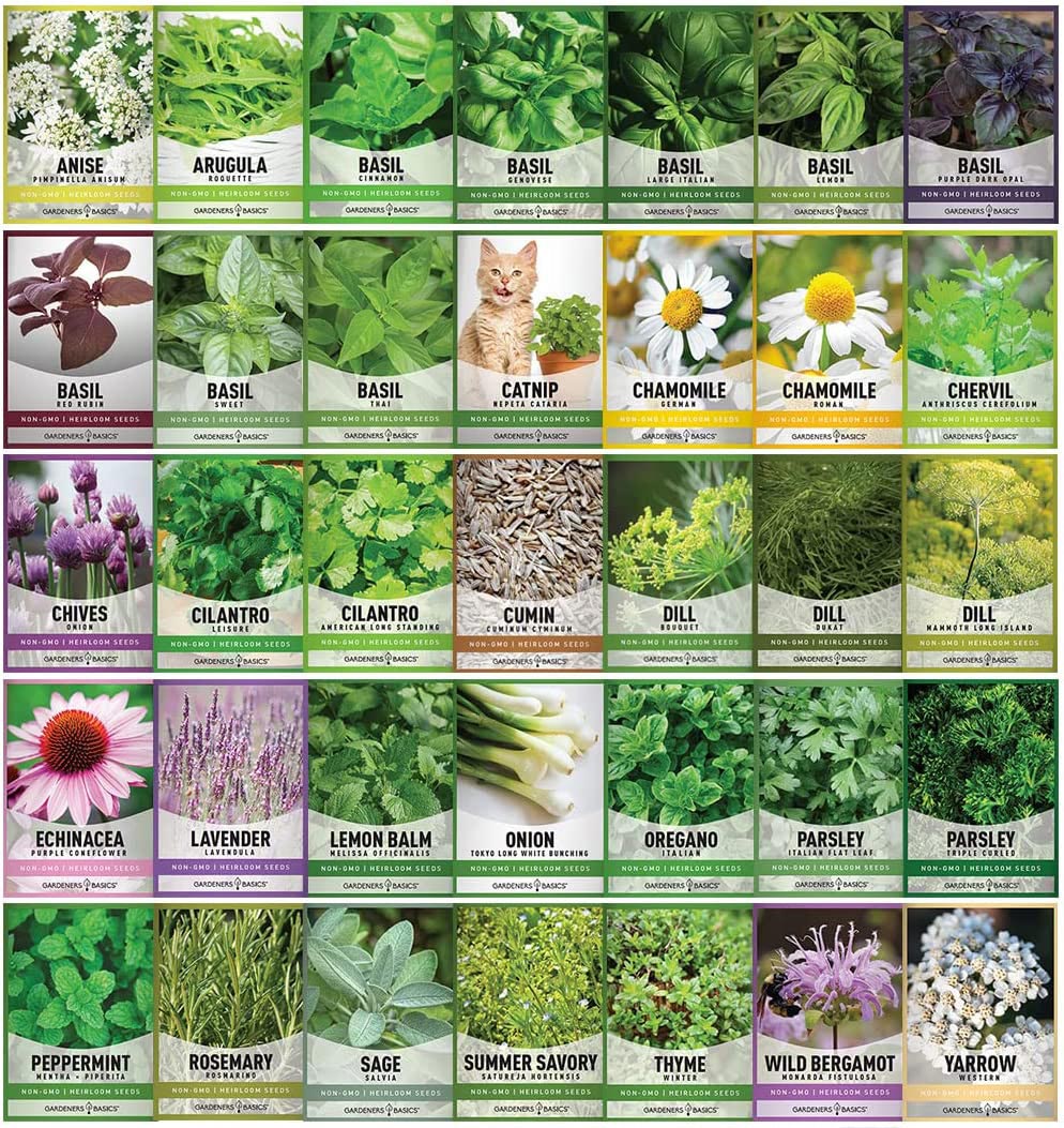 outdoor plants seeds Gardeners Seed Vault Kit