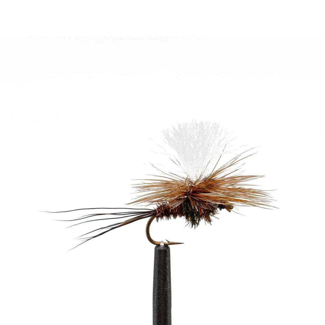 JHFLYCO Mayfly Life Stages Assortment | Loaded Fly Box – Jackson