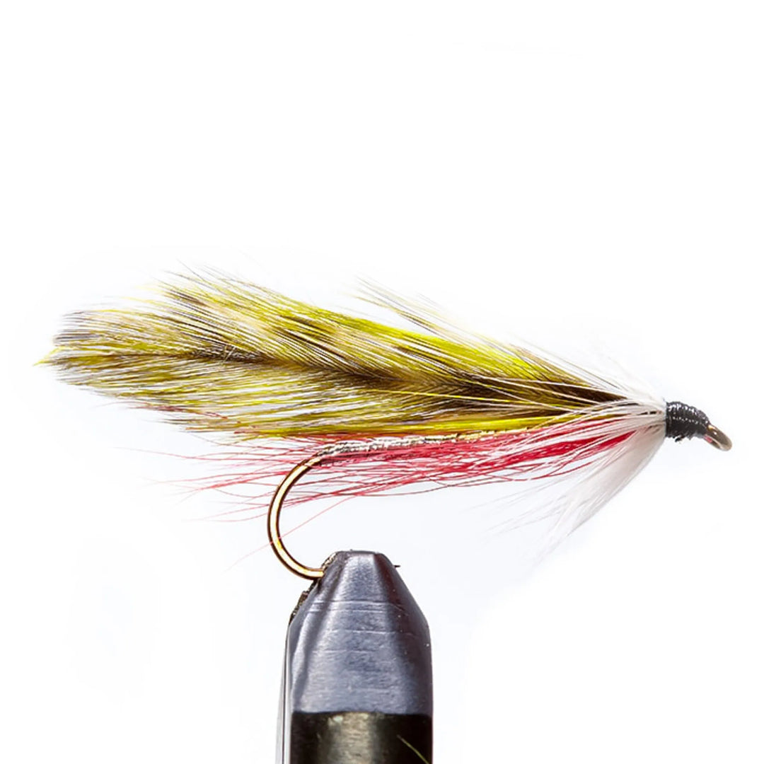 Barnes Special - Atlantic Salmon, Flies, Salt Water | Jackson Hole Fly Company