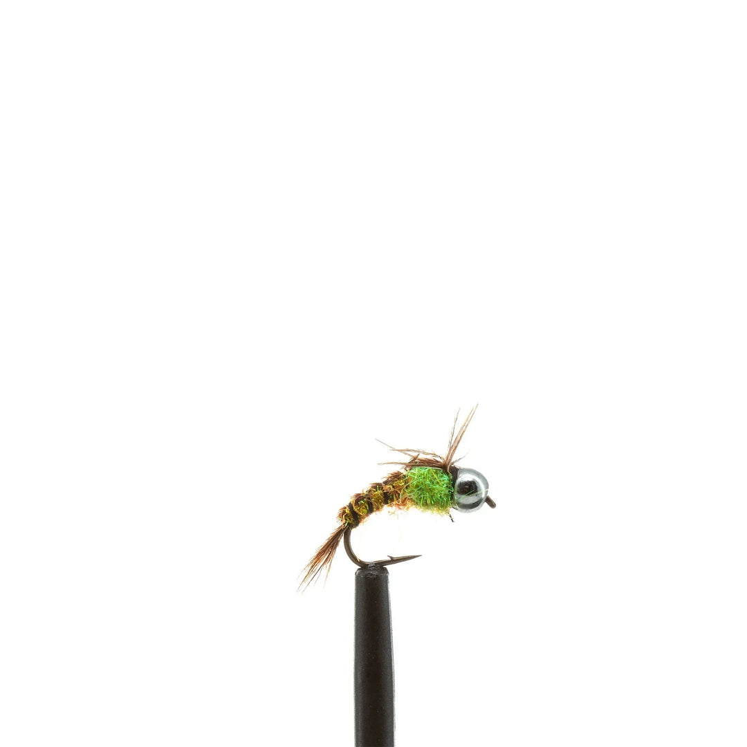 Beaded Flashback Fly Pattern New Fly Patterns – Jackson Hole Fly Company