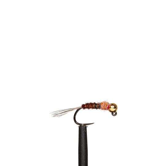 Beadhead Frenchie Jig | Jackson Hole Fly Company
