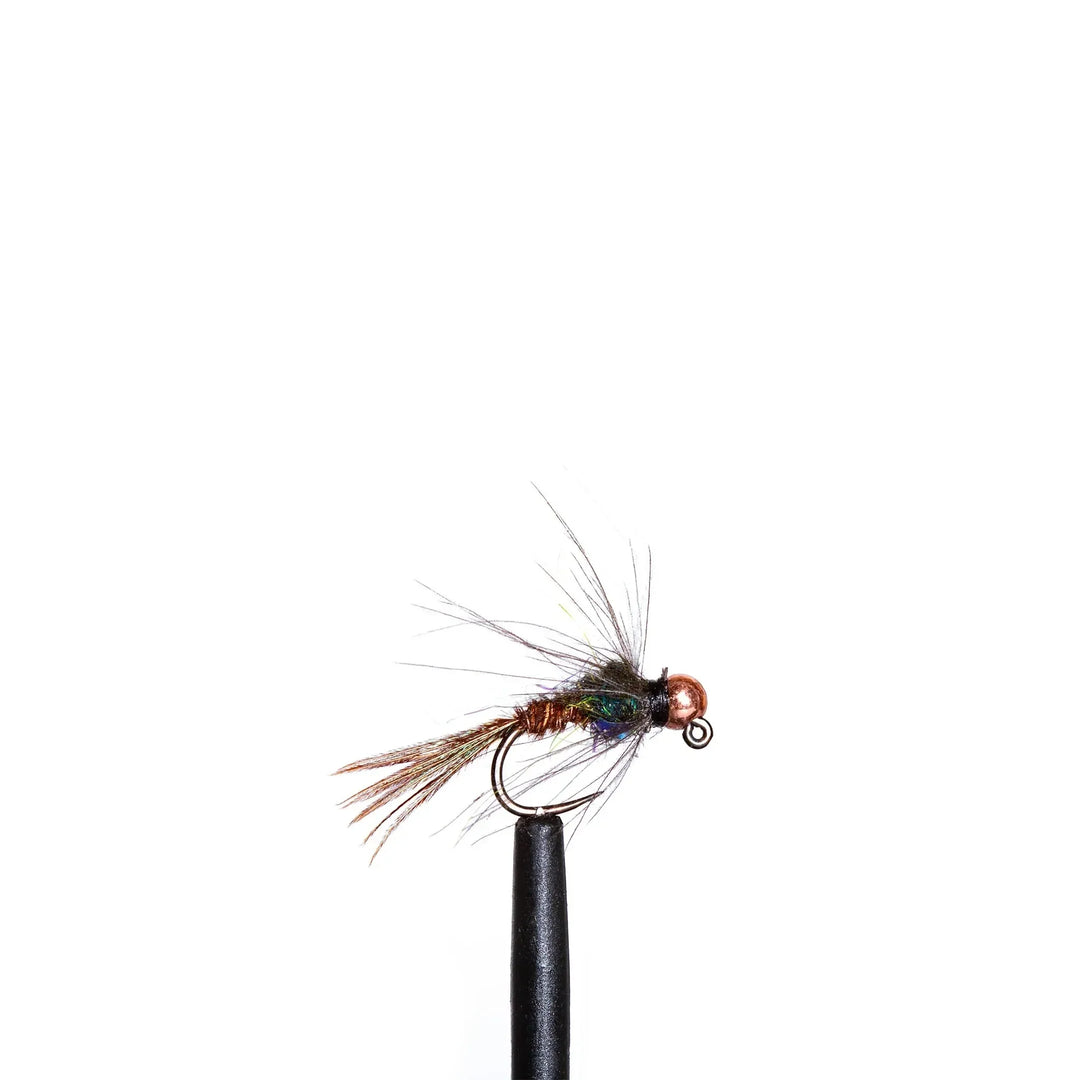 JHFLYCO Mayfly Life Stages Assortment | Loaded Fly Box – Jackson
