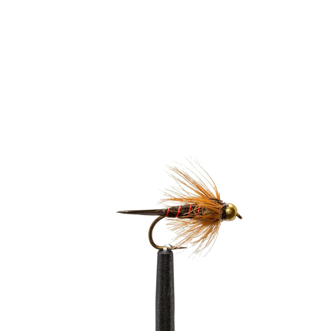 bead head fly fishing lures Beadhead Stonefly Nymph - Black - 12