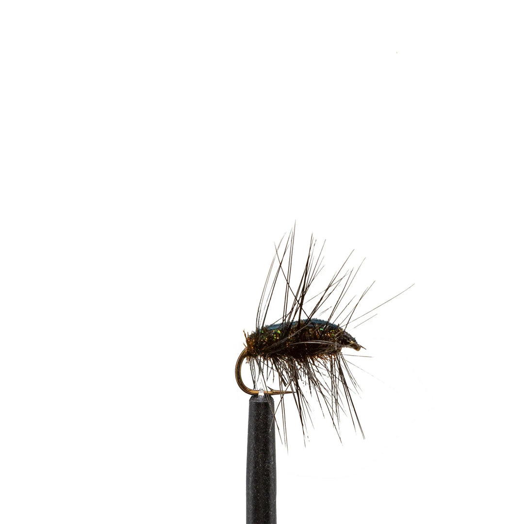 Black Beetle - Dry Flies, Flies, 149 | Jackson Hole Fly Company