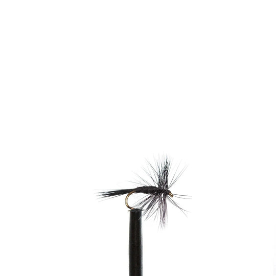 Black Midge - Dry Flies, Flies, 817 | Jackson Hole Fly Company