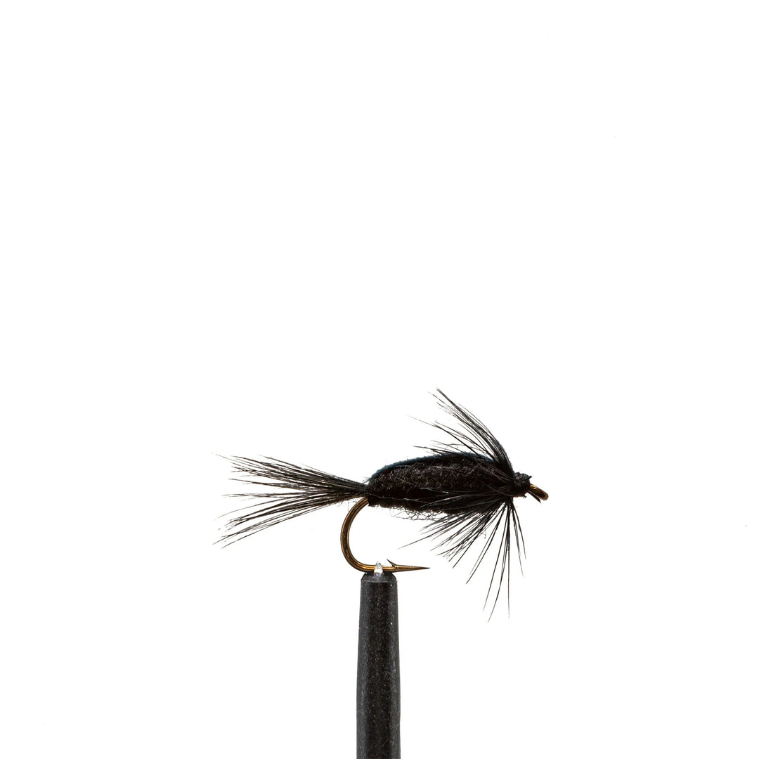 Black Nymph - Flies, Nymphs, 100 | Jackson Hole Fly Company