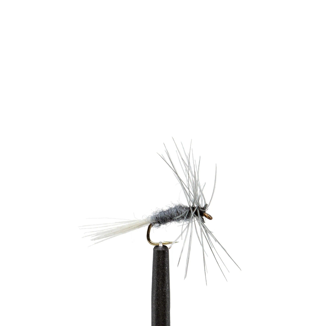 Blue Dun Midge - Dry Flies, Flies, 827 | Jackson Hole Fly Company