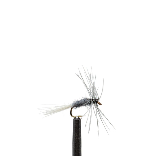 Blue Dun Midge - Dry Flies, Flies, 827 | Jackson Hole Fly Company