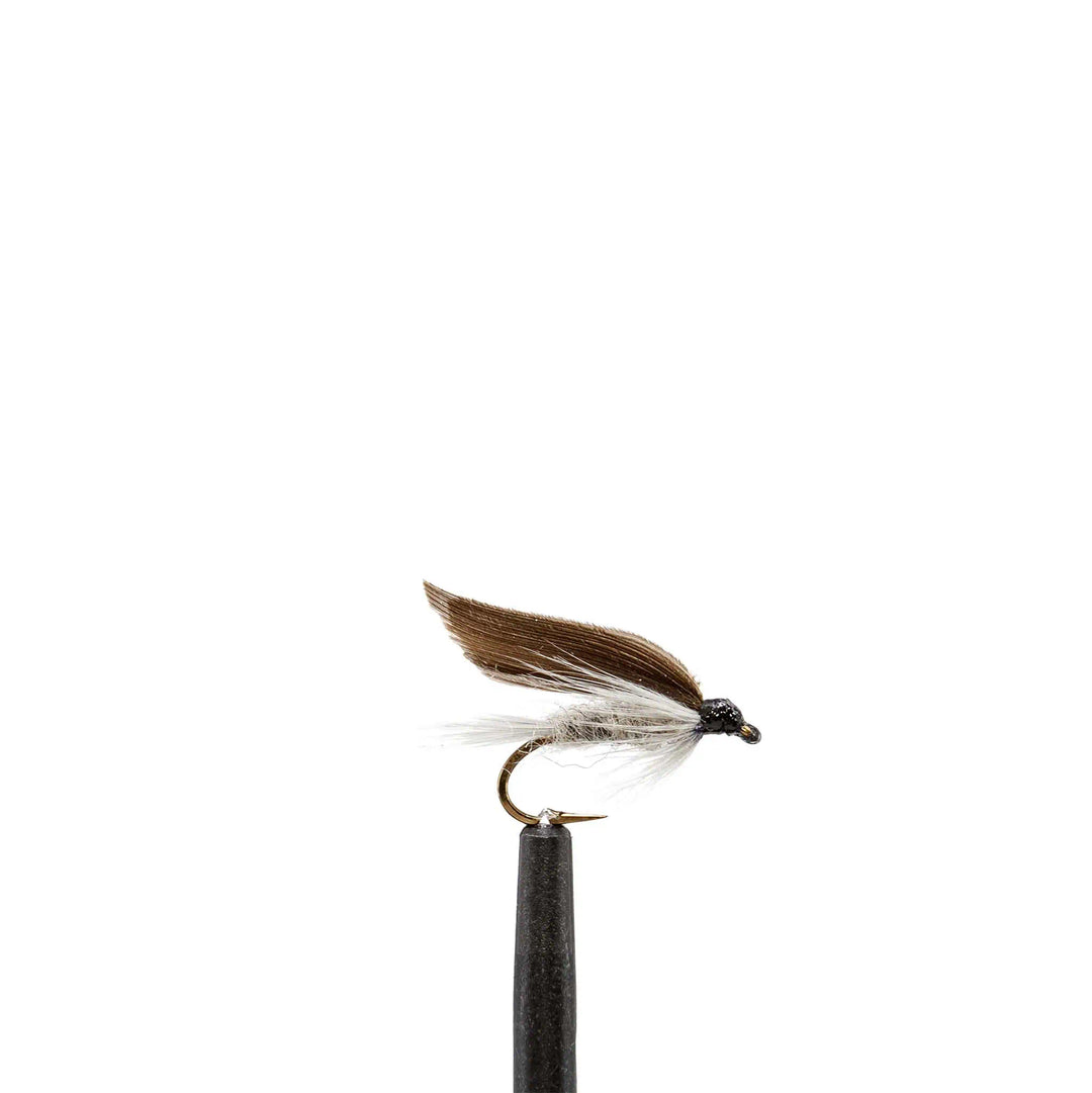 Blue Dun - Wet - Emerger, Wet Flies, Flies | Jackson Hole Fly Company