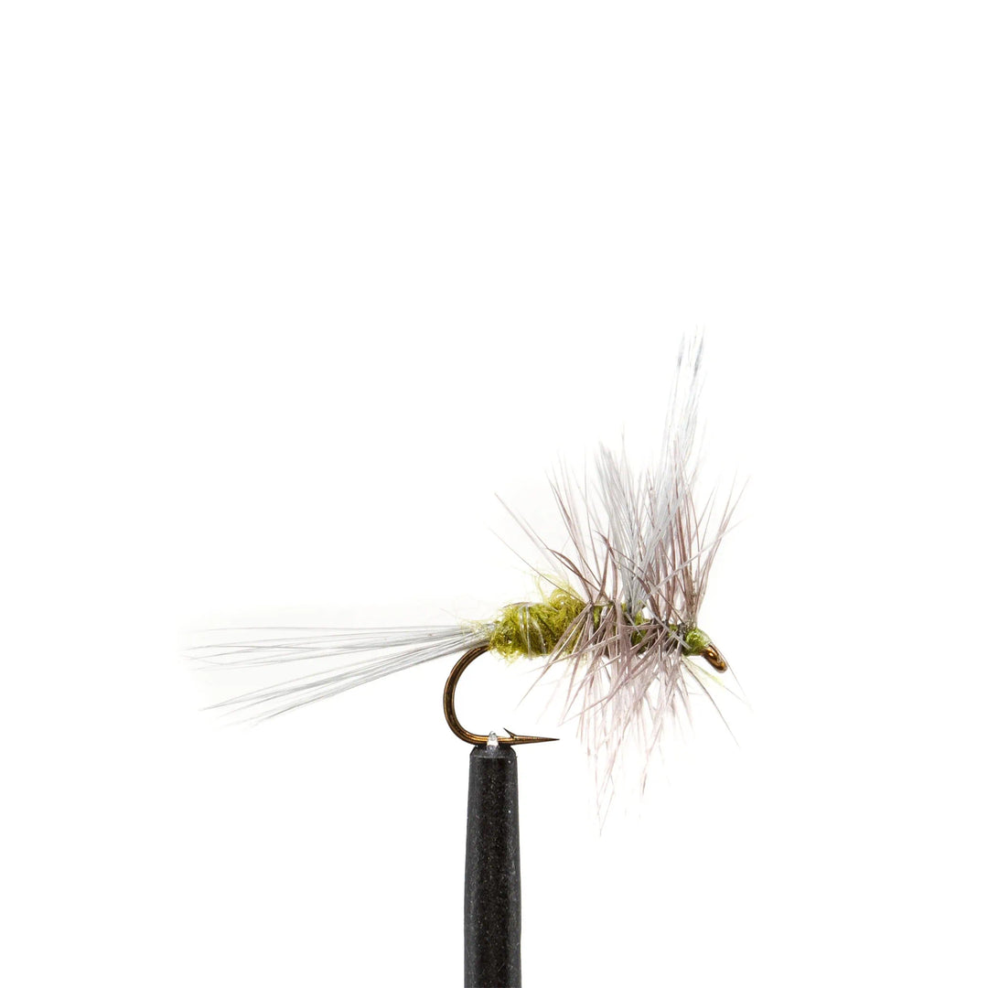 Blue-Winged Olive - BWO, Dry Flies, Essentials, Flies | Jackson Hole Fly Company