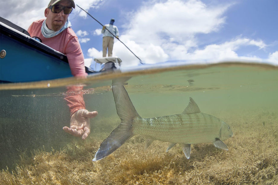Bonefish in shallow saltwater flats | Jackson Hole Fly Company