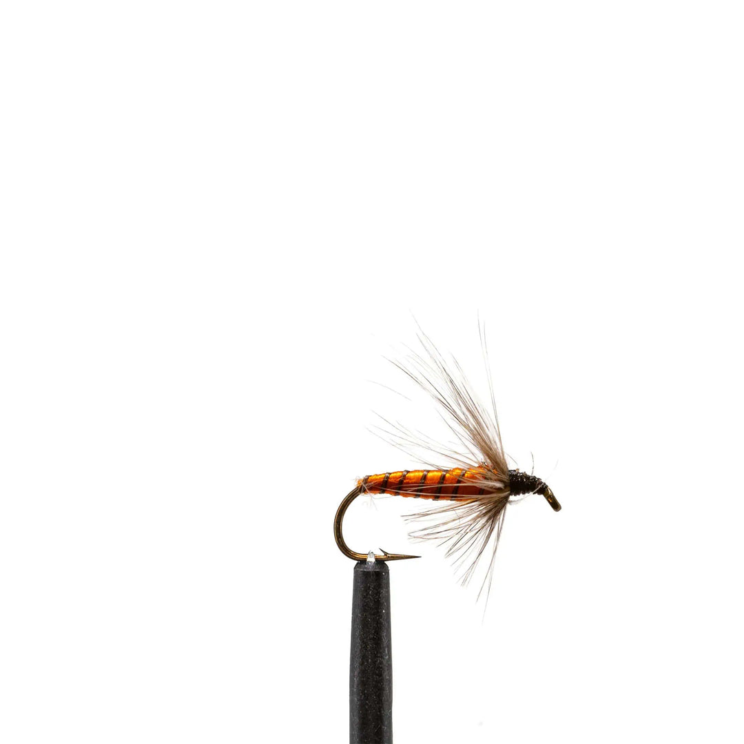 Bread Crust - Dry Flies, Flies, Caddis | Jackson Hole Fly Company