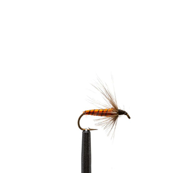 Bread Crust soft hackle wet fly | Jackson Hole Fly Company