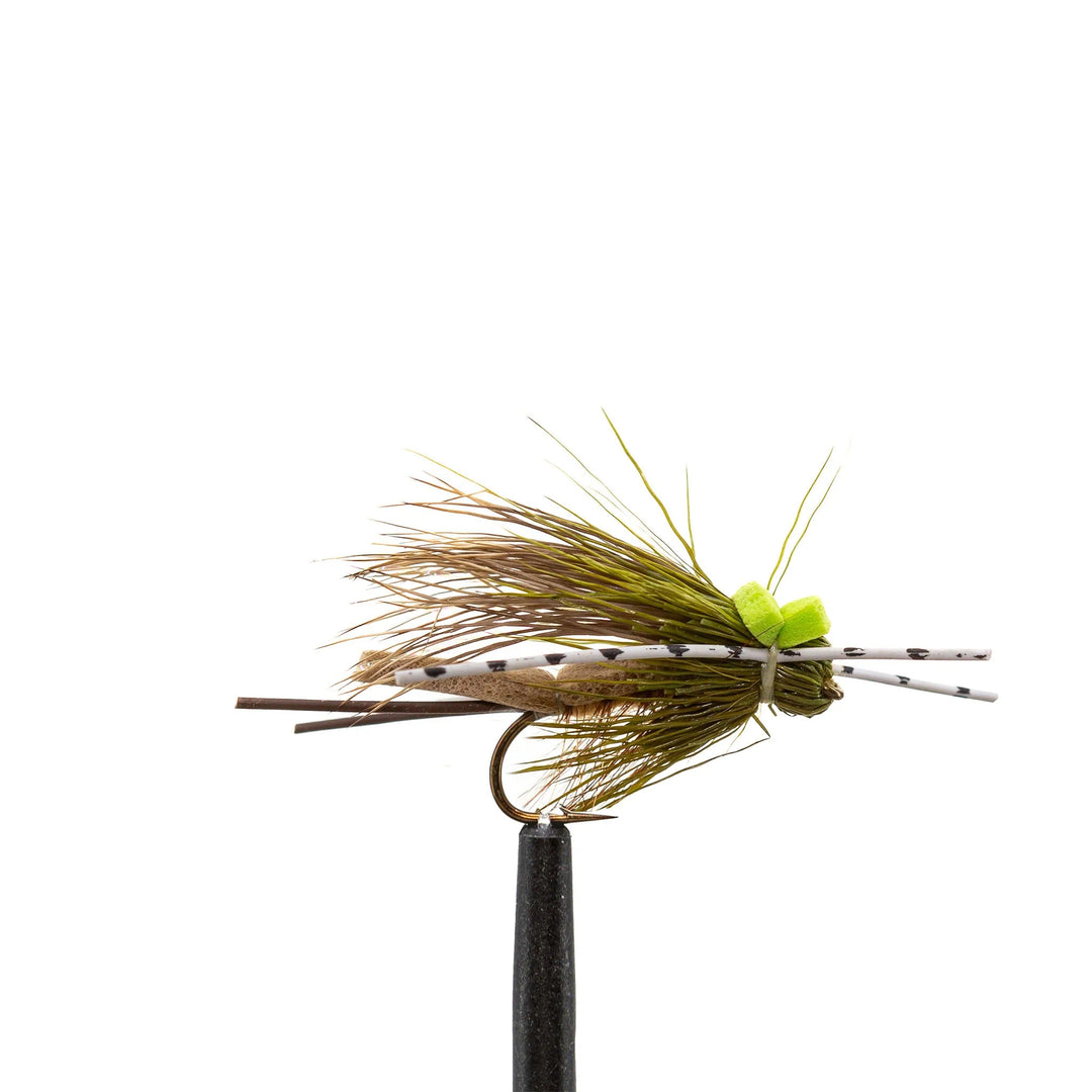 Bullet Foam Olive - Dry Flies, Flies | Jackson Hole Fly Company 1207