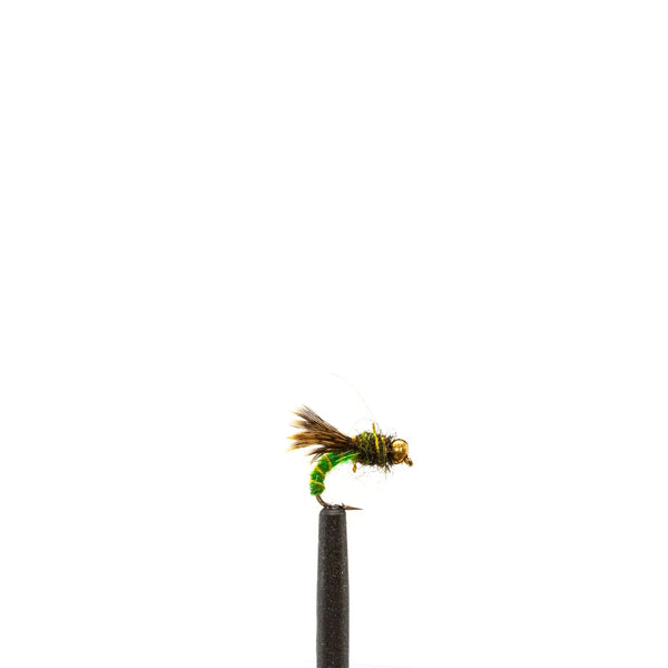 Caddis Larva - Green – Jackson Hole Fly Company
