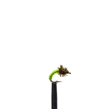 Caddis Pupa Green