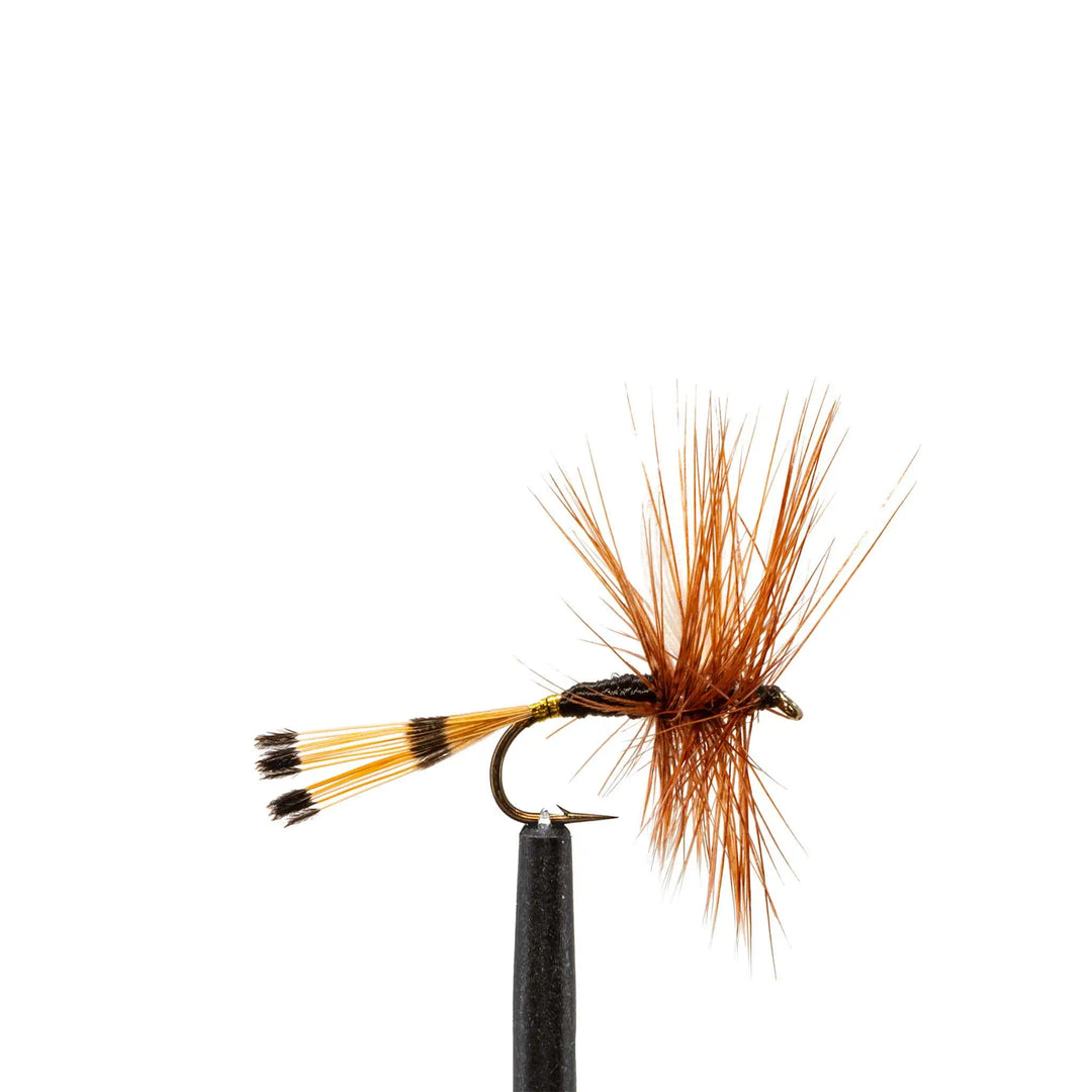 Captain - Dry Flies, Flies | Jackson Hole Fly Company