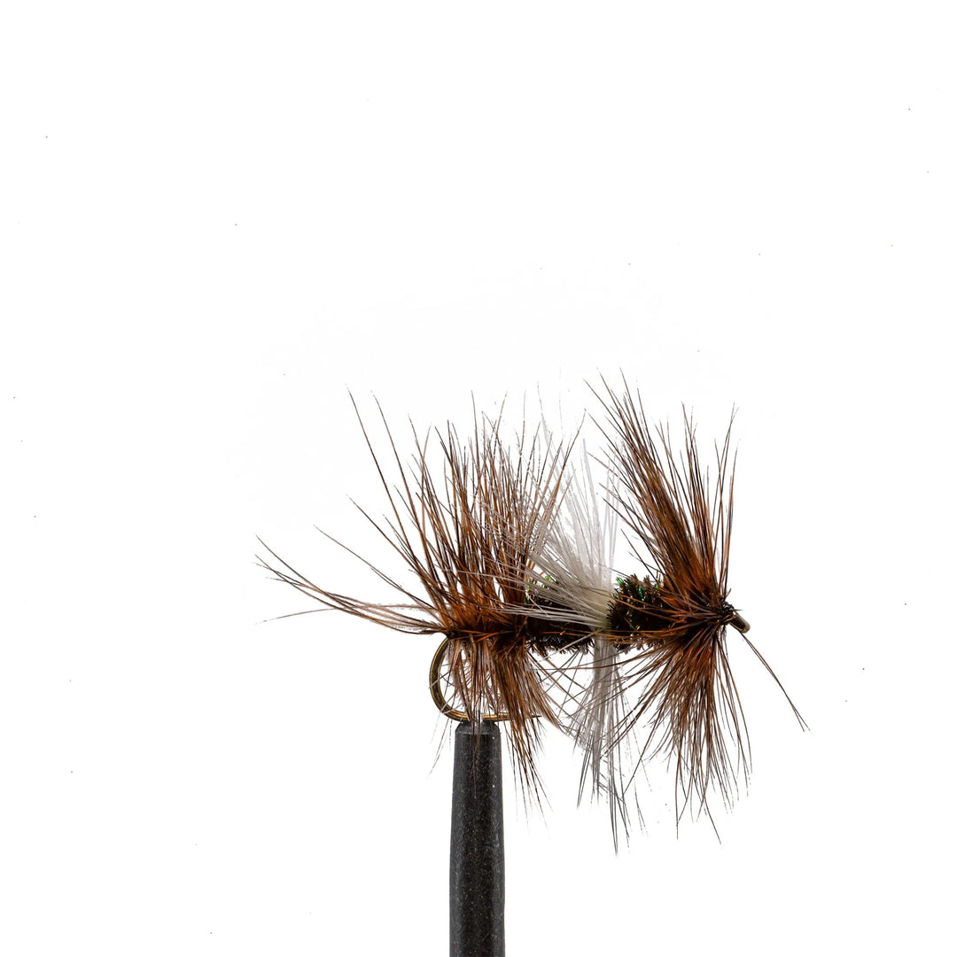 Double Renegade - Dry Flies, Flies, 045 | Jackson Hole Fly Company