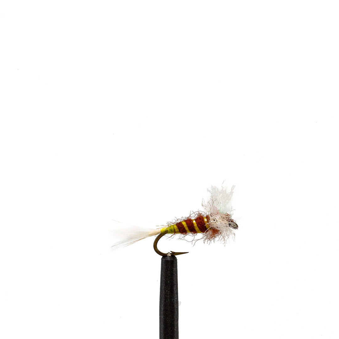 Egg Sack Rusty Spinner - Emerger, Flies, 1312 | Jackson Hole Fly Company