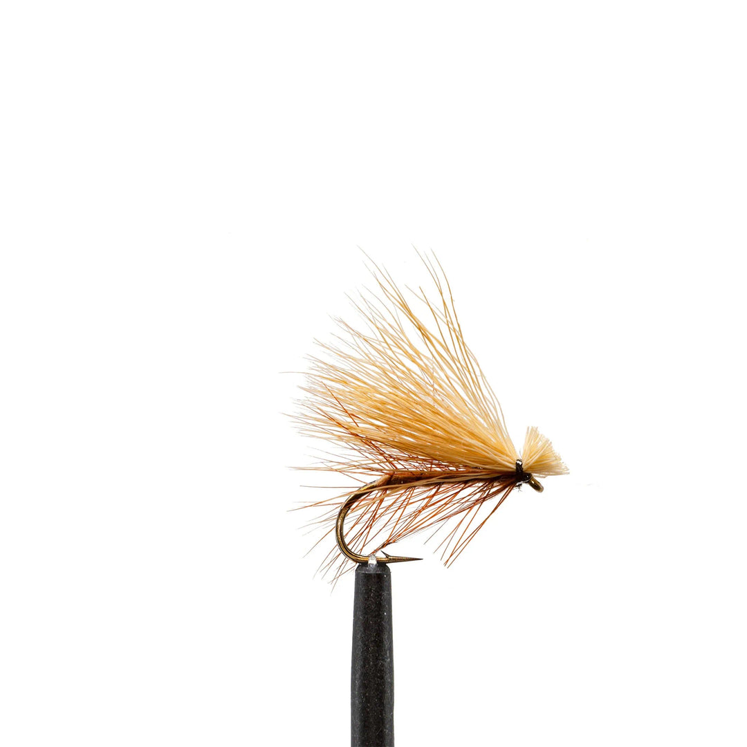 Elk Hair Caddis - Basics, Caddis, Dry Flies, essentials, Flies | Jackson Hole Fly Company