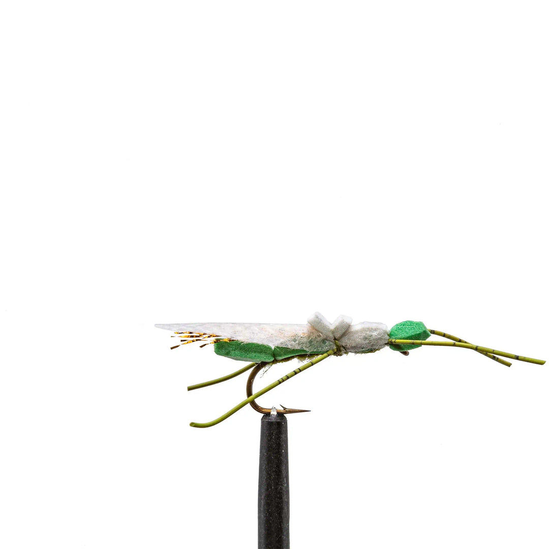 Foam Olive Adult Stone - Dry Flies, Flies, Terrestrials | Jackson Hole Fly Company