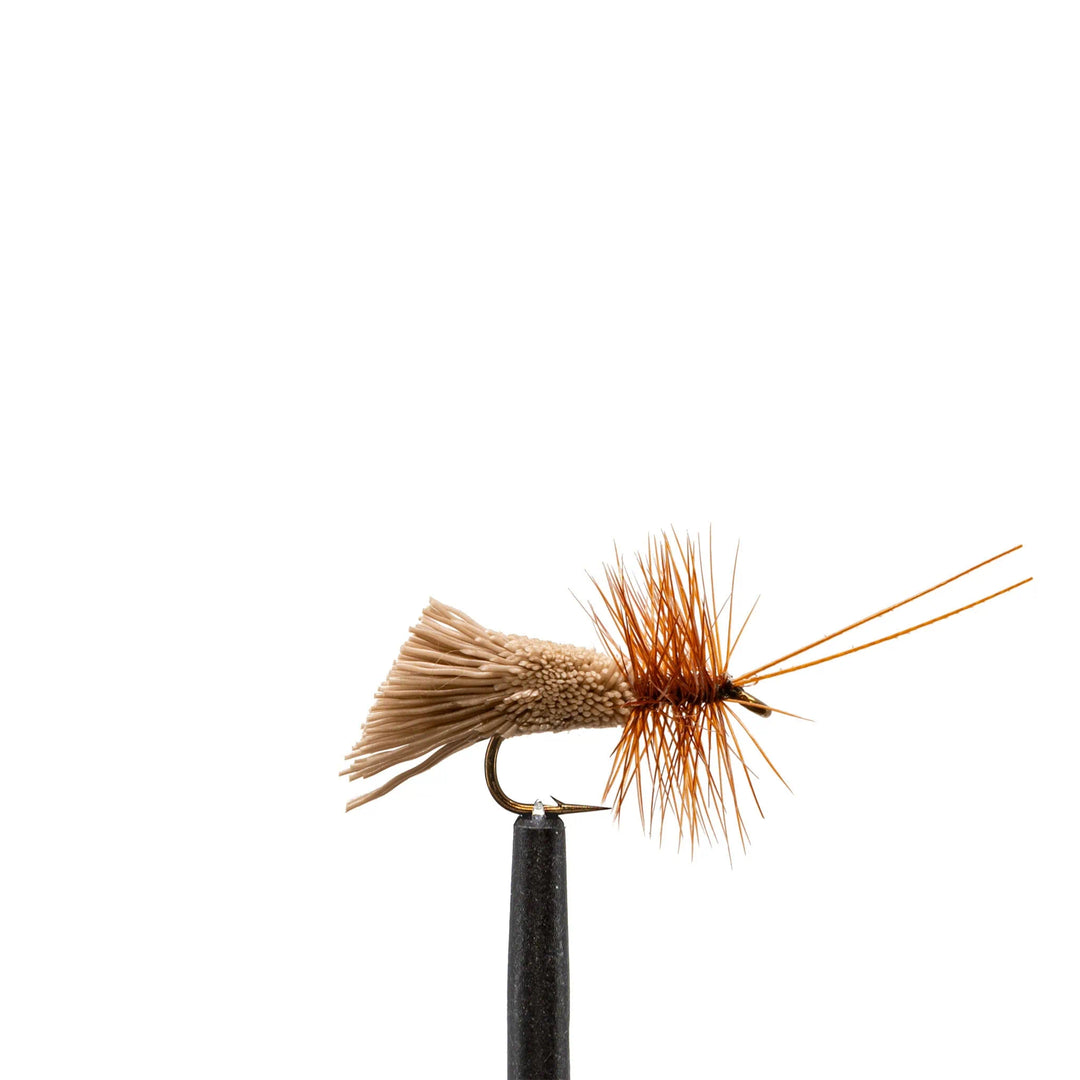 Goddard Caddis - Caddis, Dry Flies, Flies, 078 | Jackson Hole Fly Company