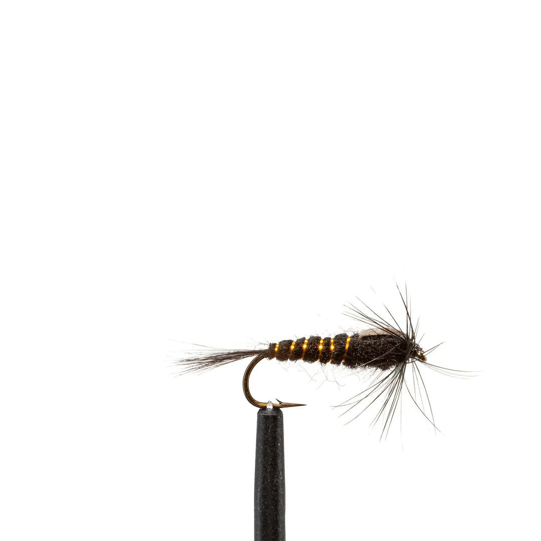 Gold Ribbed Hare's Ear Black , Black G.R. Hare's Ear - Flies, Nymphs | Jackson Hole Fly Company