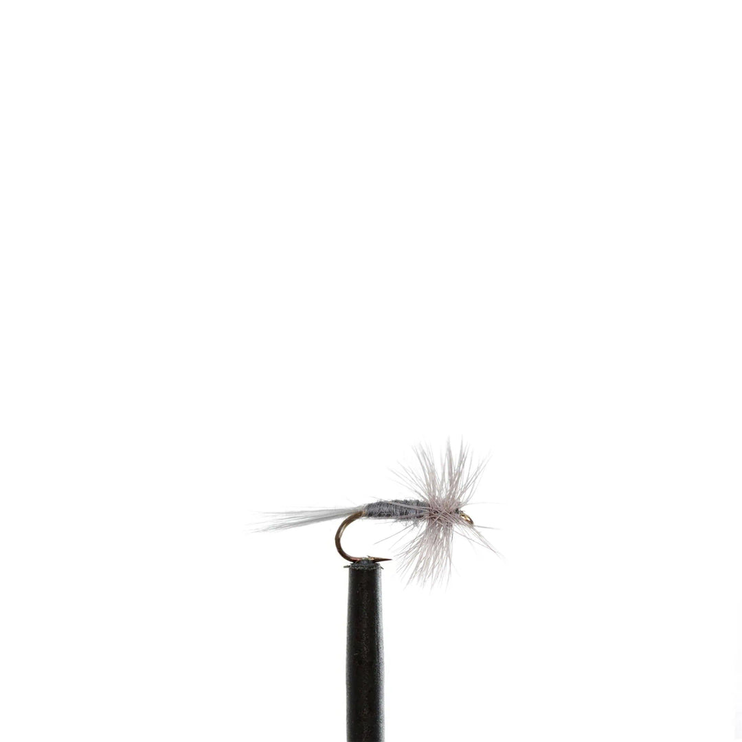 Gray Midge - Dry Flies, Flies, 818 | Jackson Hole Fly Company