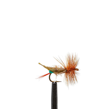 Green foam hopper dry fly | Jackson Hole Fly Company