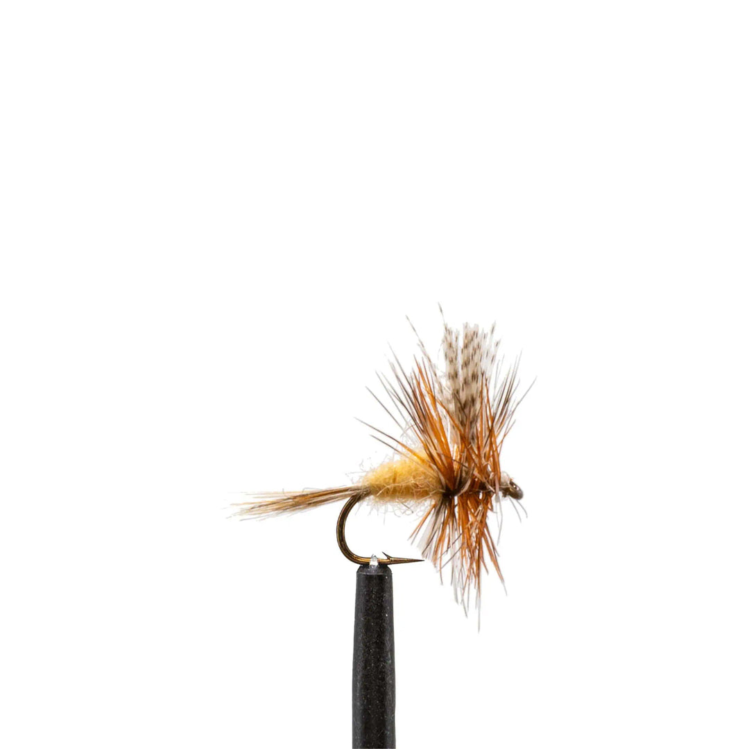 Grey Fox - Dry Flies, Flies | Jackson Hole Fly Company