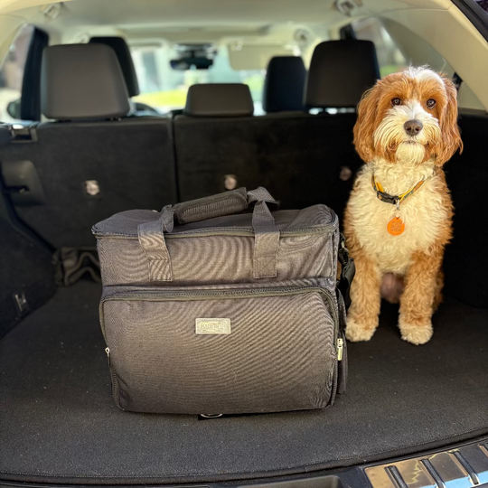 The Safe Pet Kit: Must-Have Pet Kit for Disaster Situations