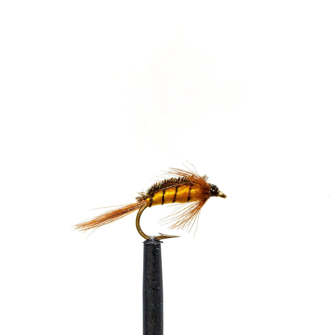 Caddis Nymph - Flies, nymphs | Jackson Hole Fly Company